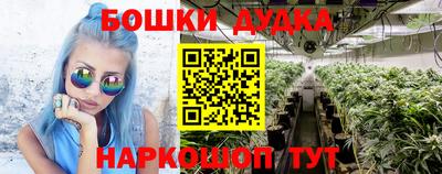 кокс Моздок
