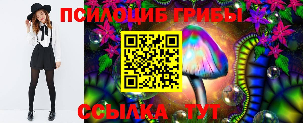 Псилоцибиновые грибы мицелий Великие Луки