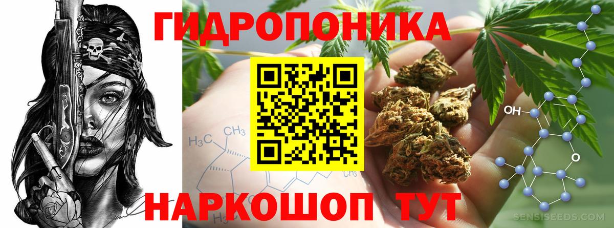 Бошки Шишки Ganja  Марихуана гибрид  Шишки марихуана гибрид  Каннабис MAZAR  Великие Луки  Вход с VPN 